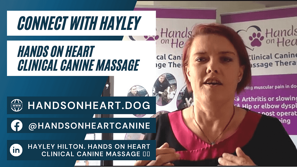 #HaltonHour Features: Hayley Hilton Hands On Heart Clinical Canine Massage 1 Contact Hayley Hilton Hands On Heart Canine Massage Interview