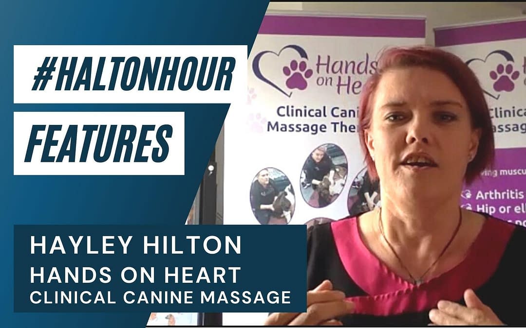 #HaltonHour Features Hayley Hilton Hands On Heart Clinical Canine Massage - video interview
