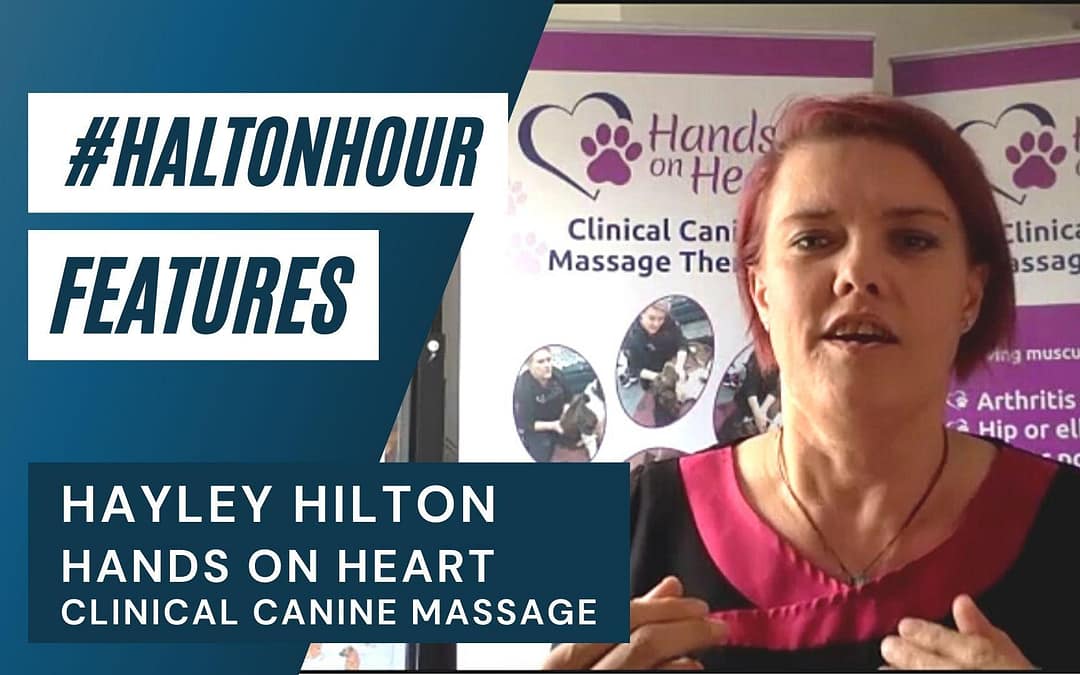 #HaltonHour Features Hayley Hilton Hands On Heart Clinical Canine Massage - video interview