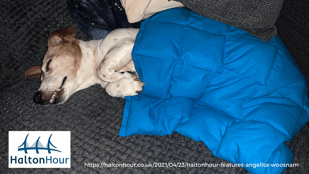 #HaltonHour Features: WellBeing Lady Angelita Woosnam (Video Interview) 1 Daisy dog modelling Recharge and Restore weighted lap pad